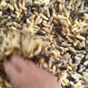 马蜂统货