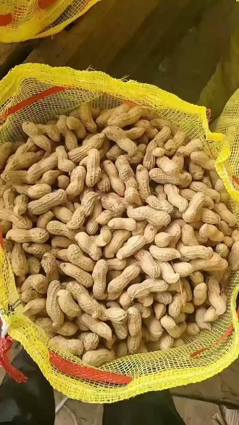鲜花生