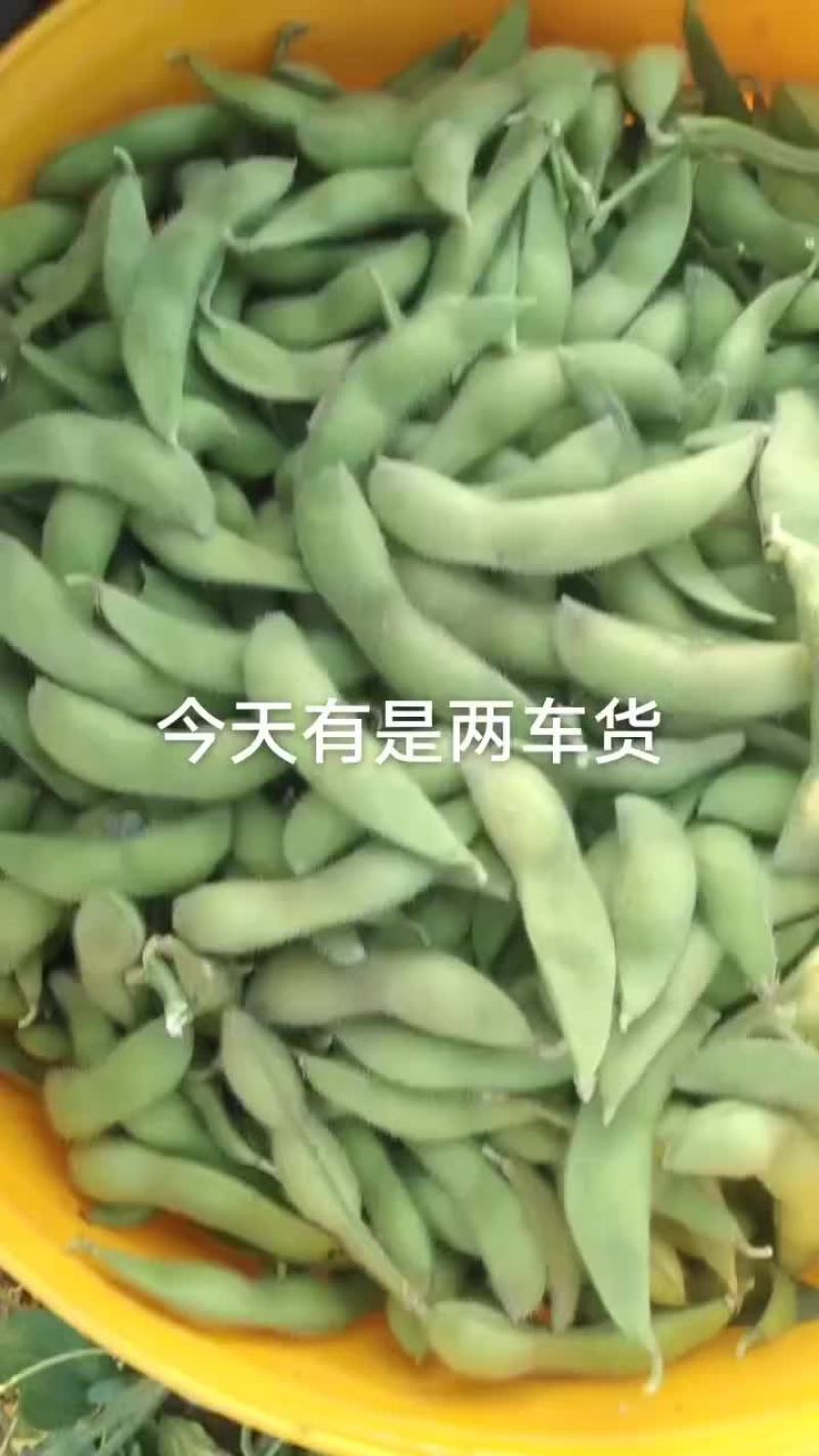 毛豆
