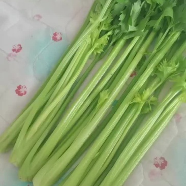 芹菜