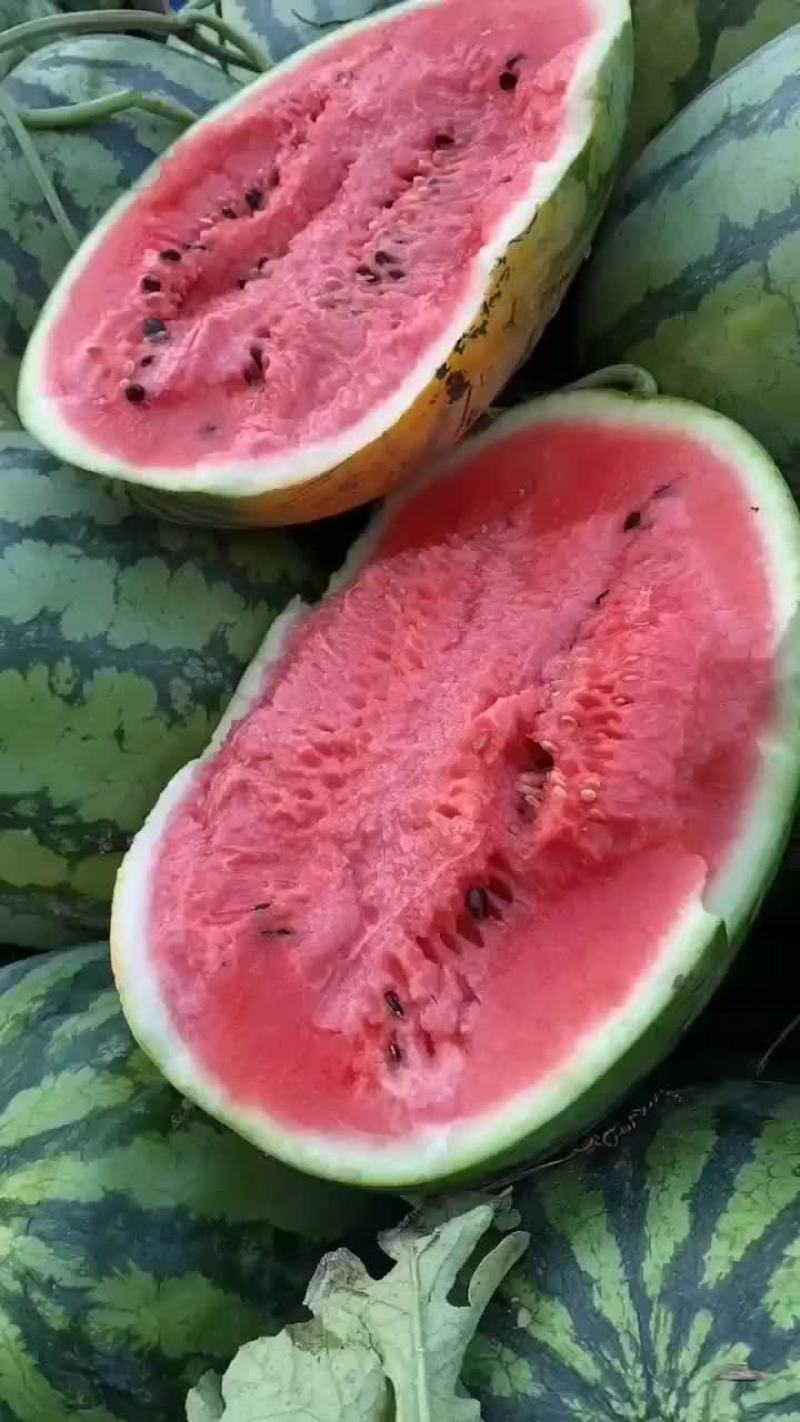 冠龙大量上市，有需要的可以联系
