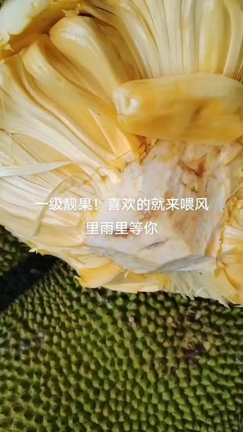 海南三道波罗蜜