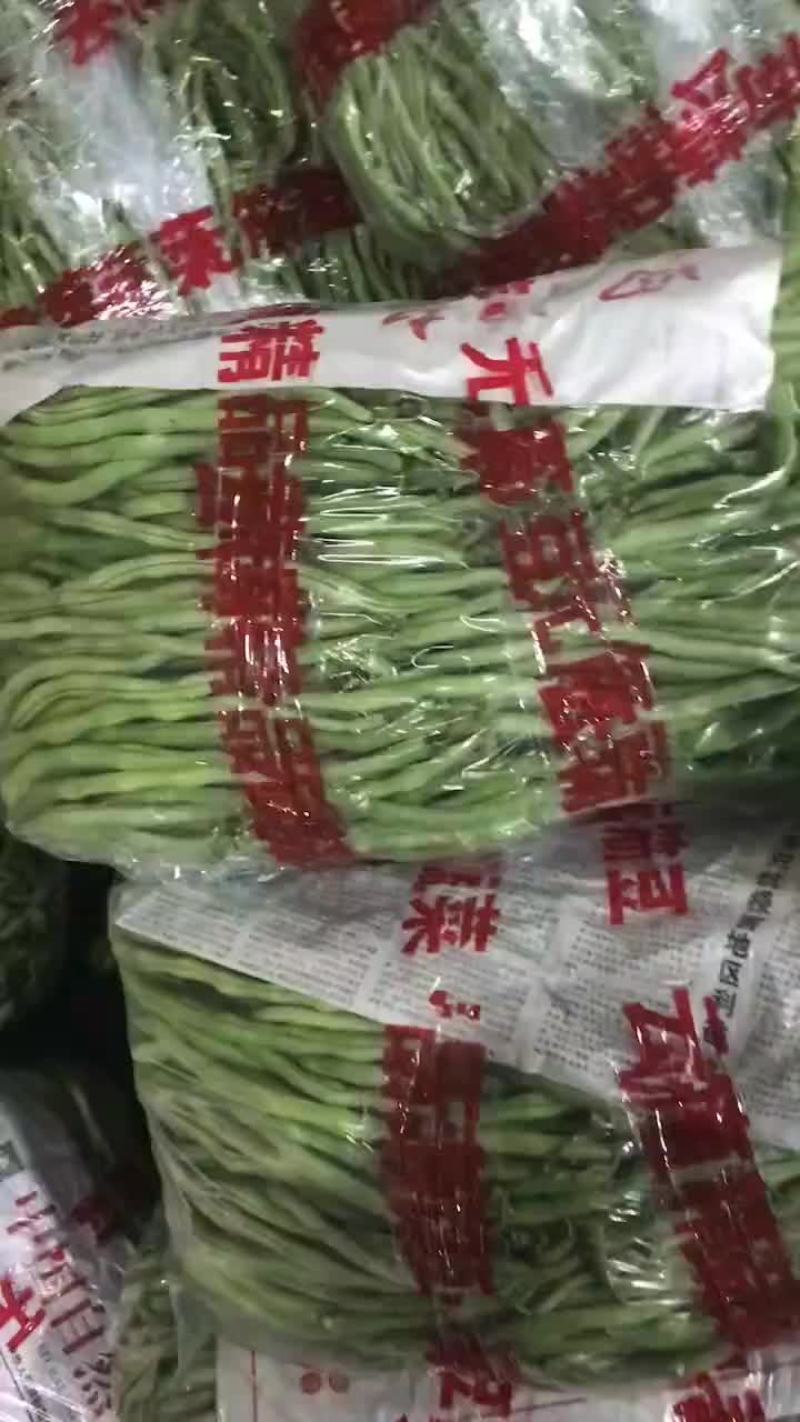无金豆