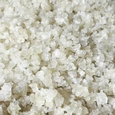 雪燕