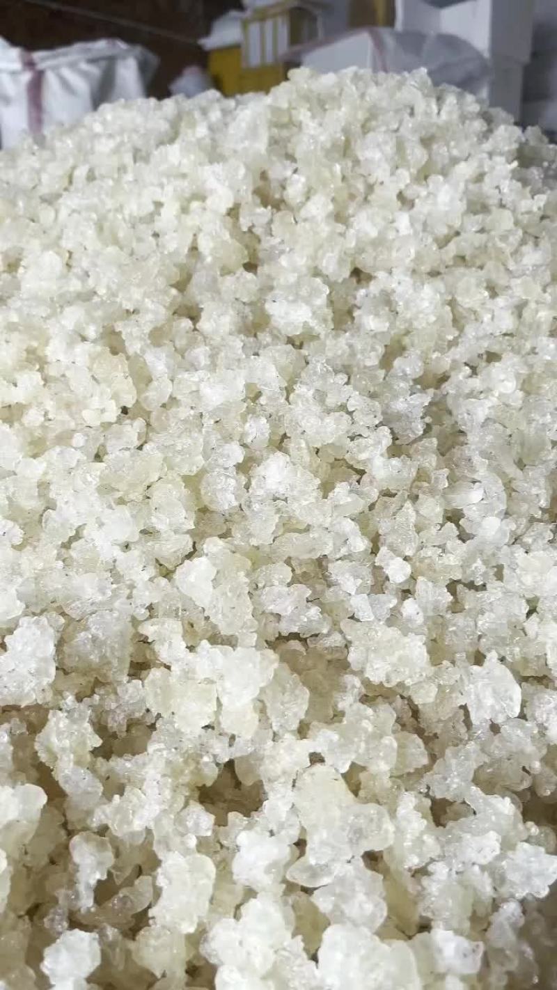 雪燕