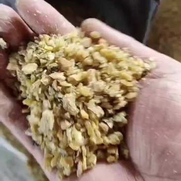 豆饼