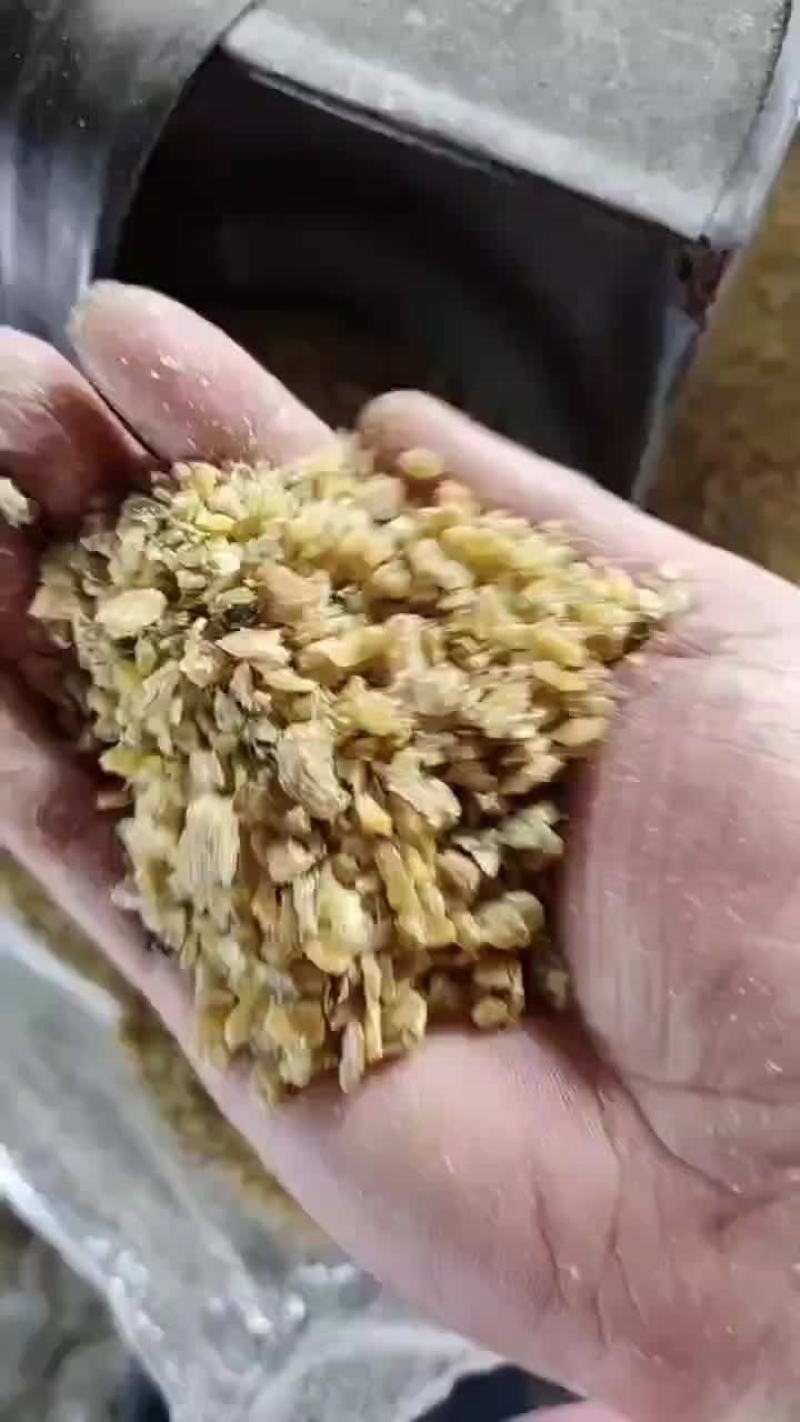 豆饼