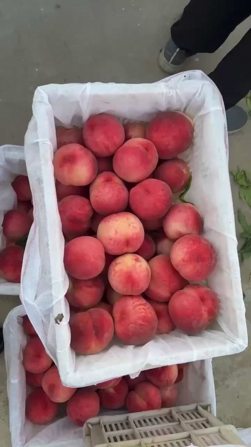 纸袋红不软