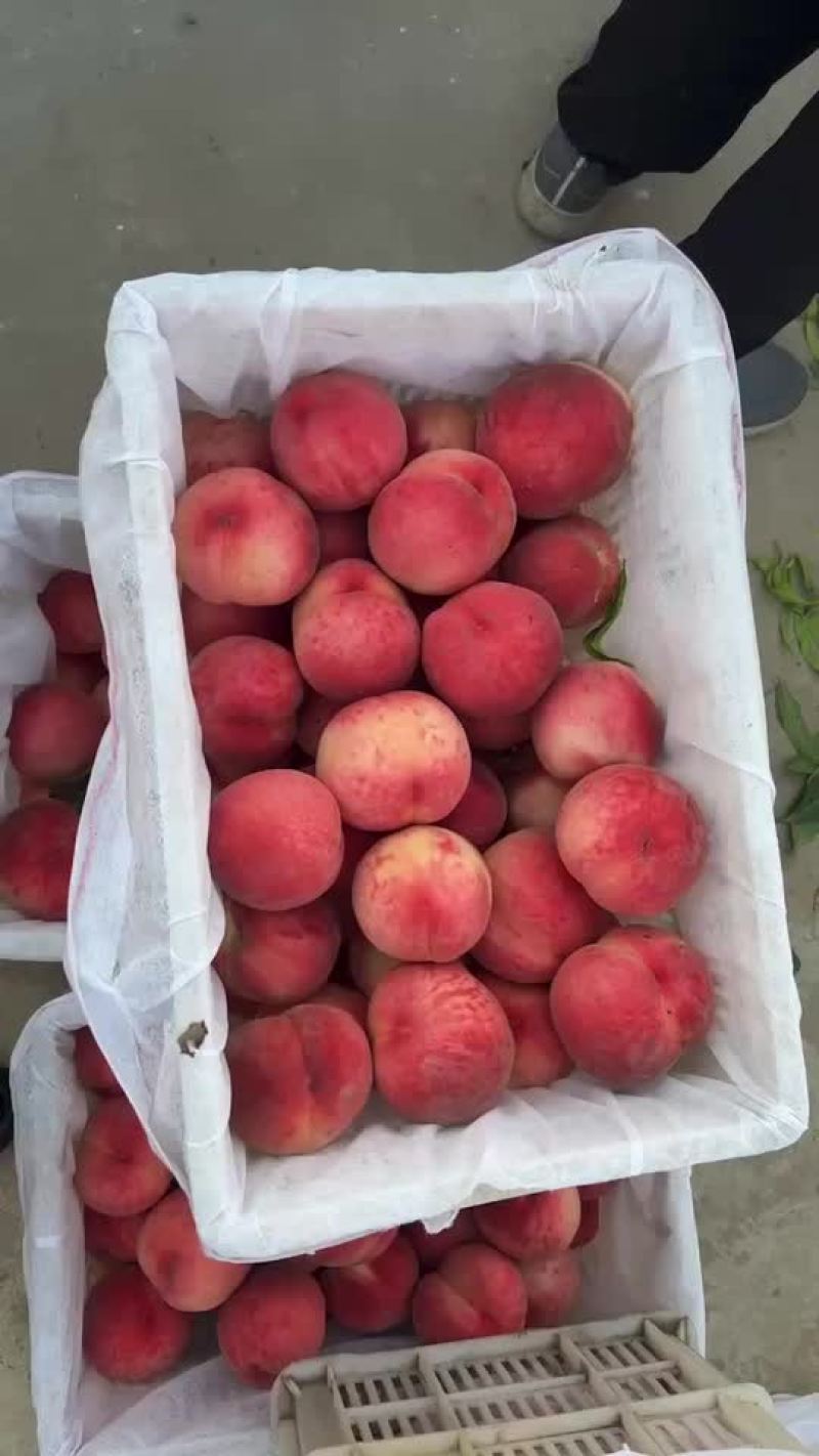 纸袋红不软