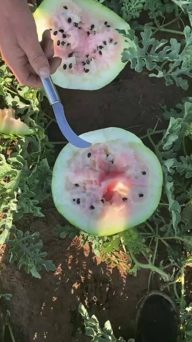 打瓜