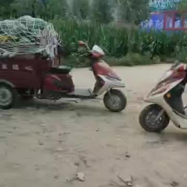 万亩西瓜大量上市需要的可以联系我