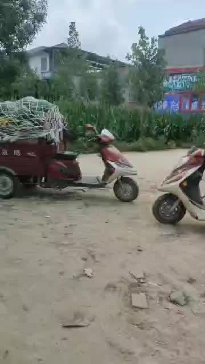 万亩西瓜大量上市需要的可以联系我