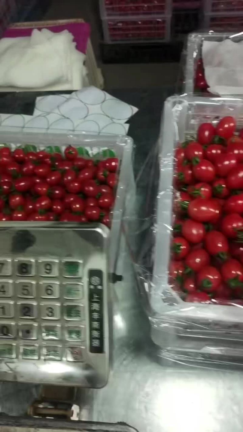 宁夏沙漠千禧