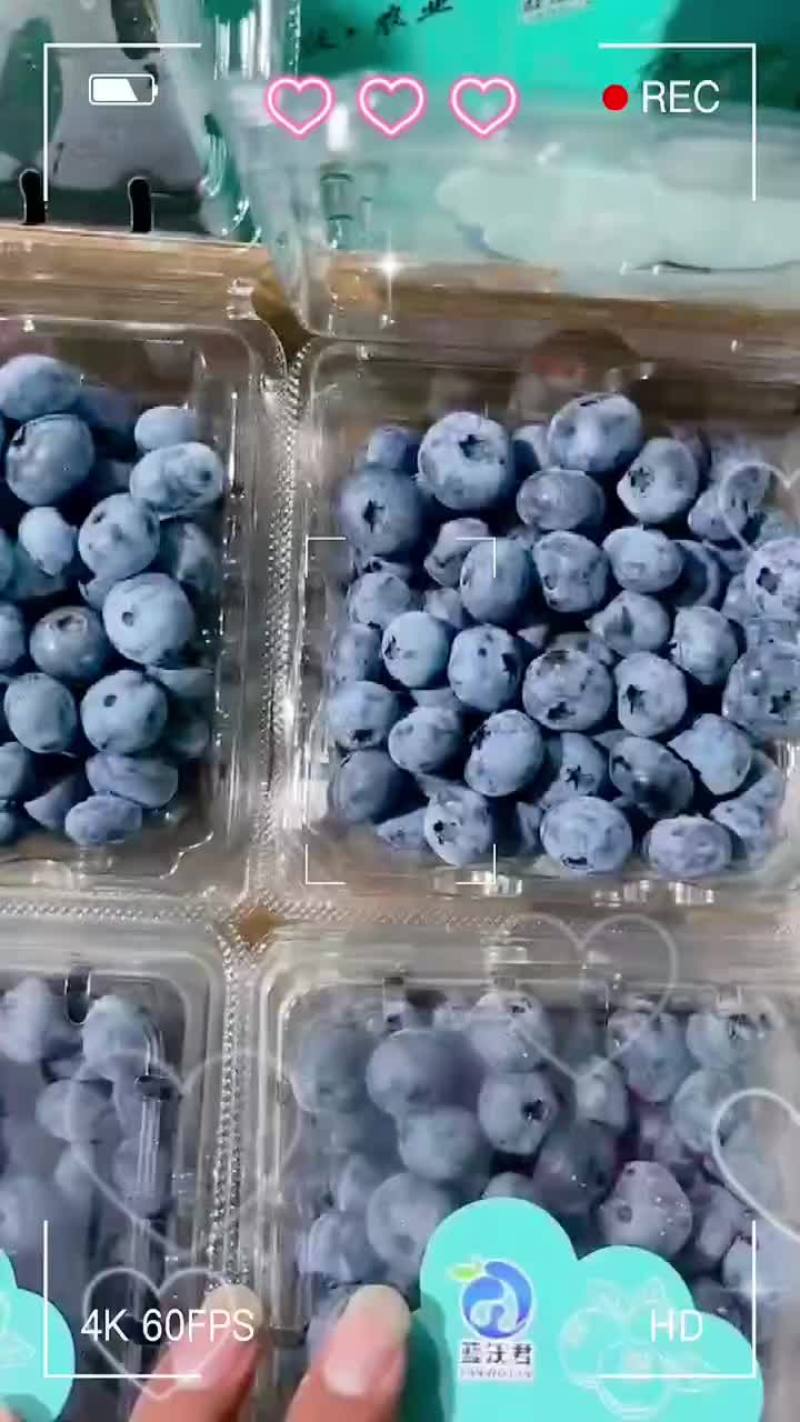 蓝莓