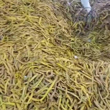 【腌制脆口黄瓜皮】