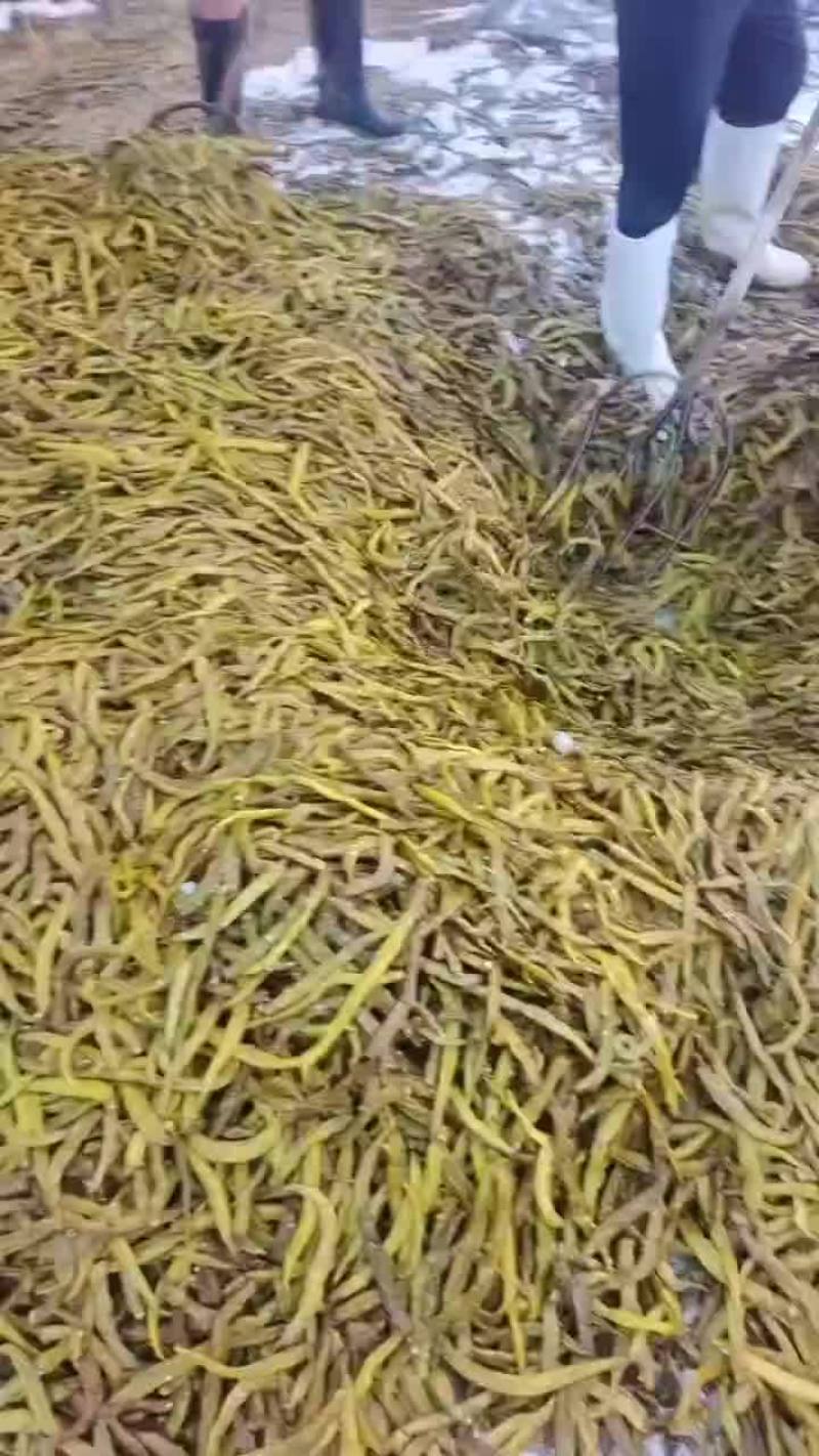 【腌制脆口黄瓜皮】