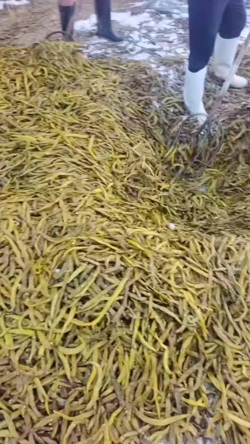 【腌制脆口黄瓜皮】