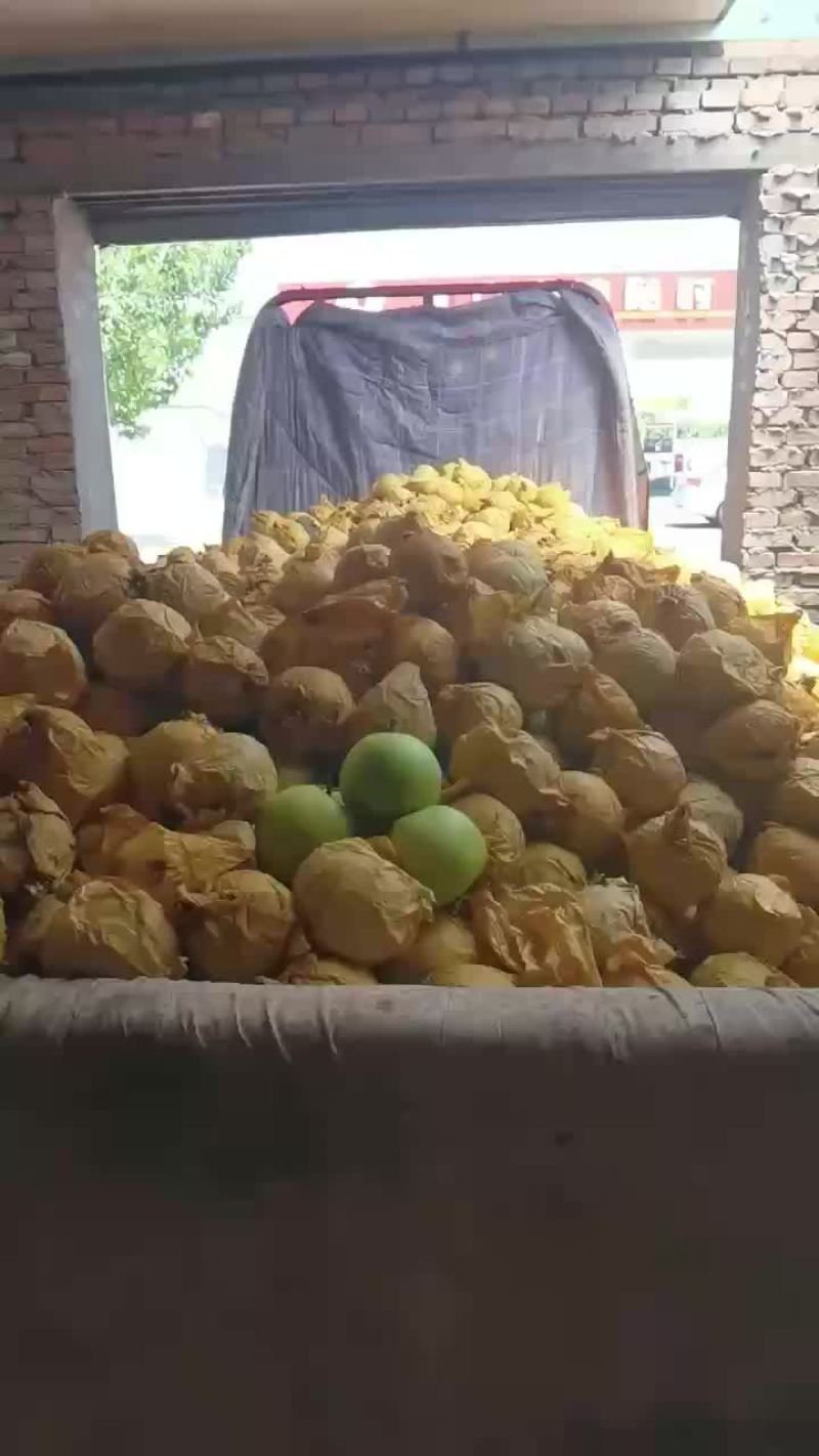 绿宝石梨🍐大量上市，半斤以上的，适合批发商超零售电商