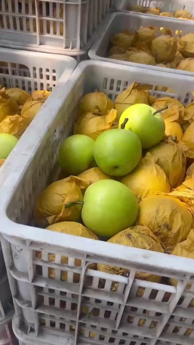 绿宝石梨🍐大量上市，半斤以上的，适合批发商超零售电商