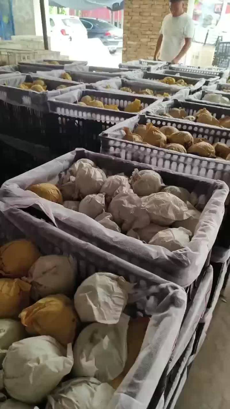 绿宝石梨🍐大量上市，半斤以上的，适合批发商超零售电商