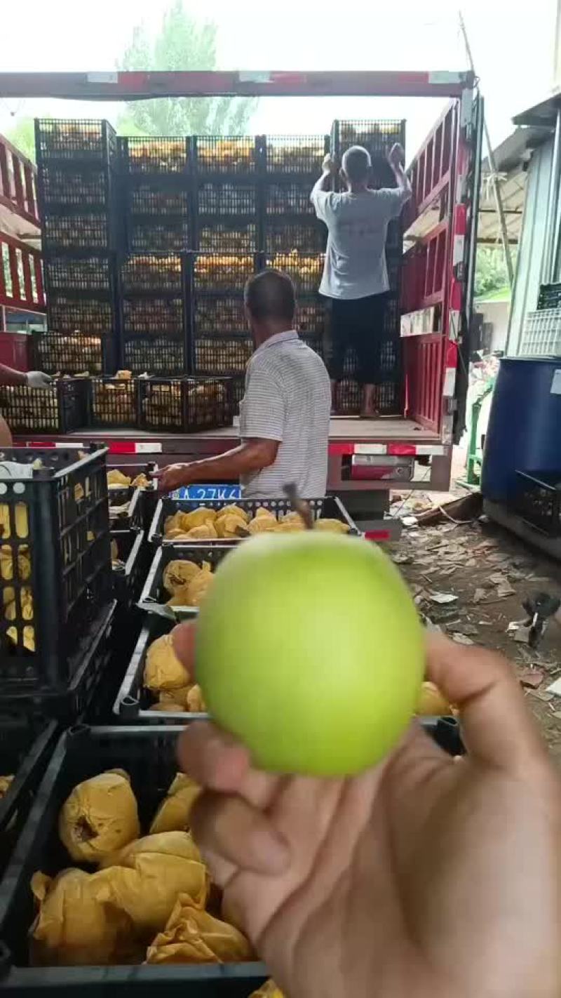 绿宝石梨🍐大量上市，半斤以上的，适合批发商超零售电商