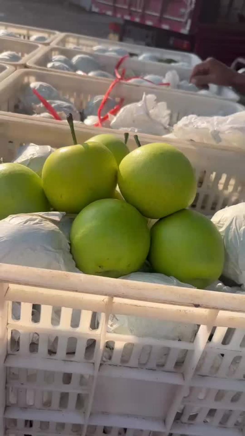 绿宝石梨🍐大量上市，半斤以上的，适合批发商超零售电商