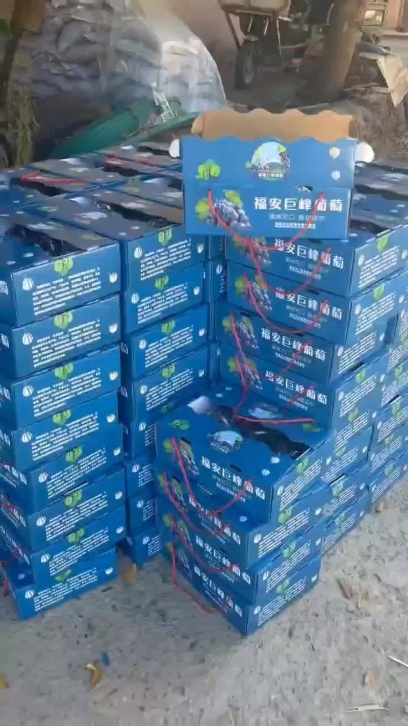 3斤礼品盒5斤礼品盒订货走起