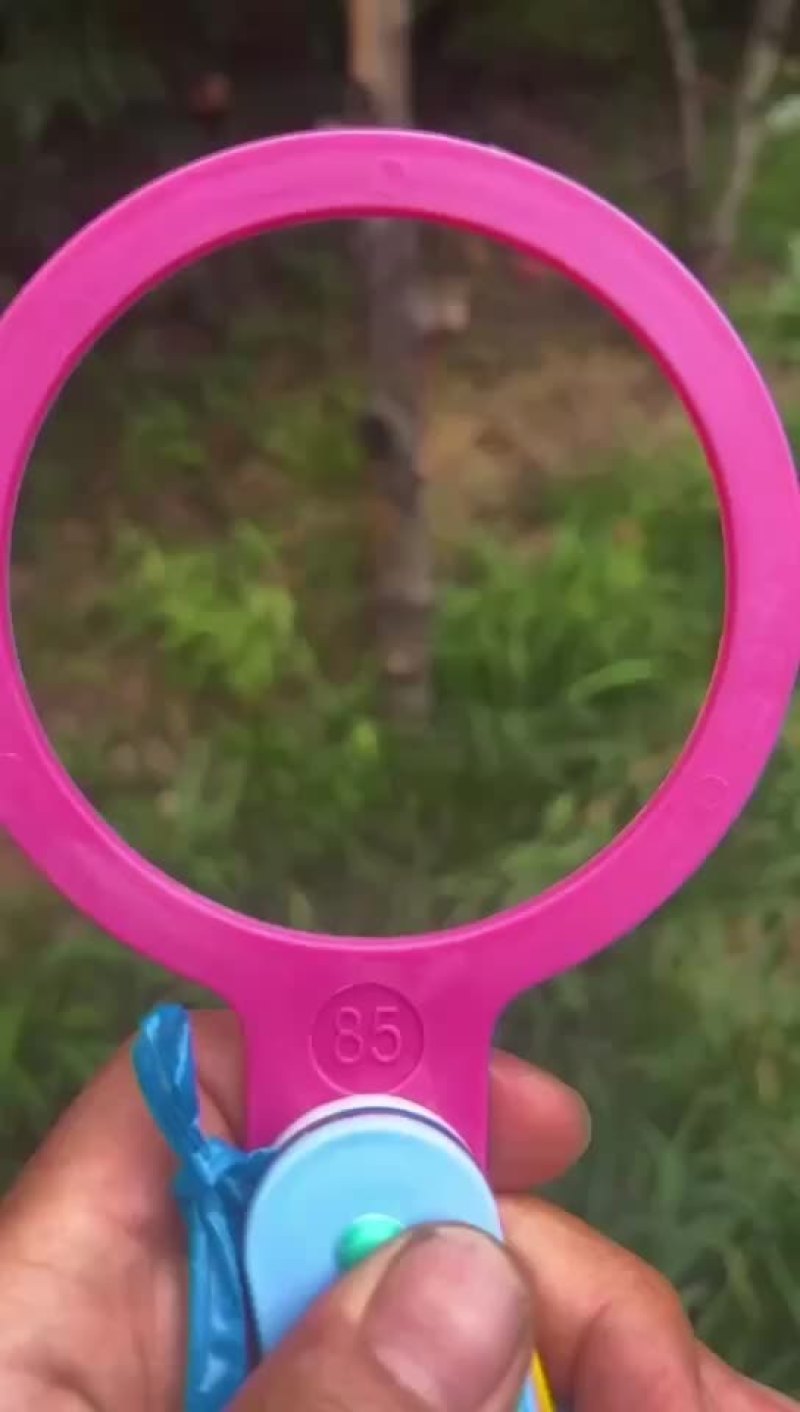 芽变毛桃