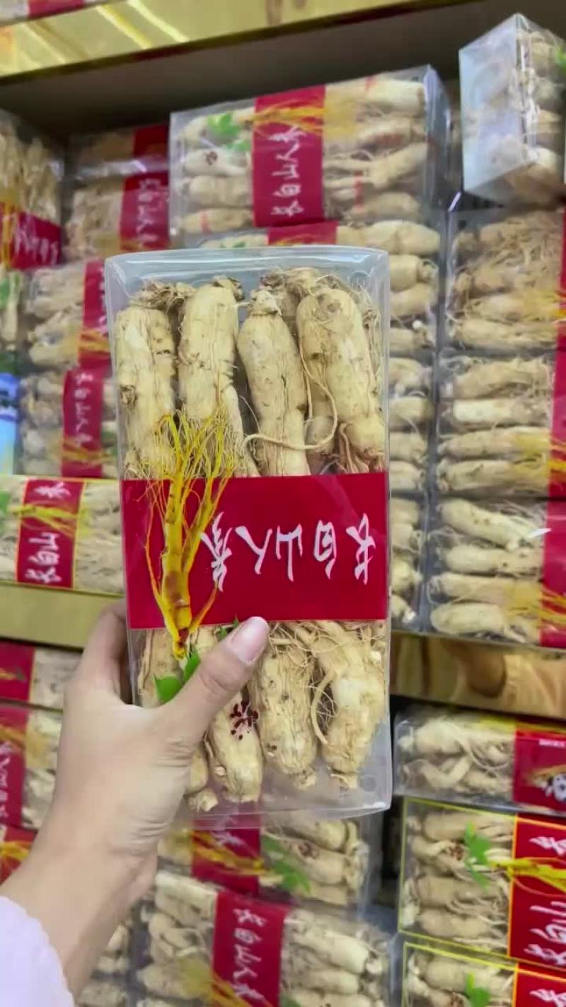 原片人参