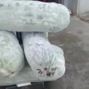 江西金溪白皮吊冬瓜