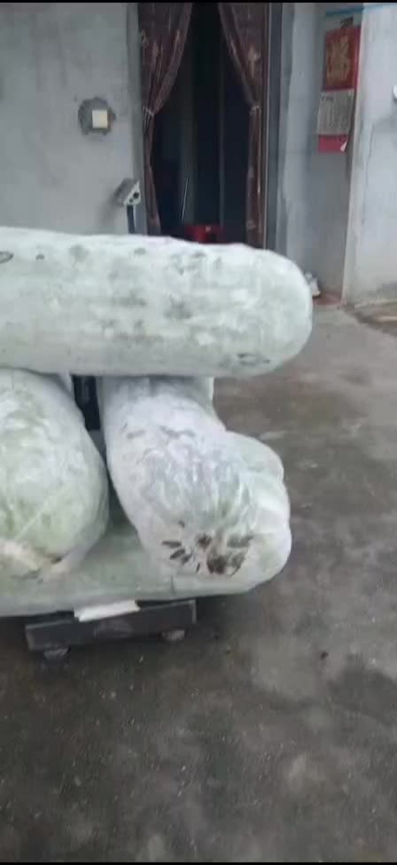 江西金溪白皮吊冬瓜