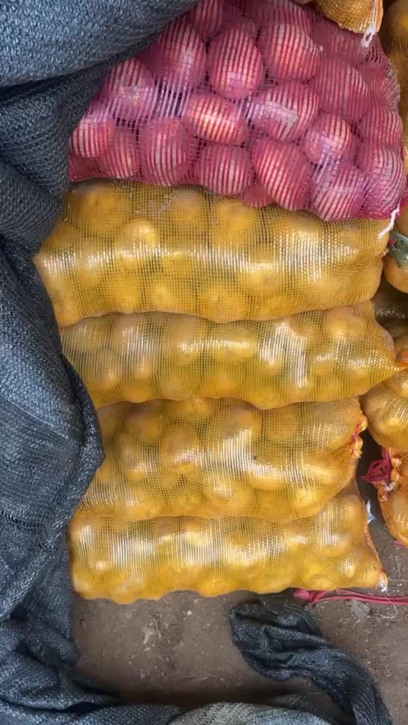 自家土豆要的联系