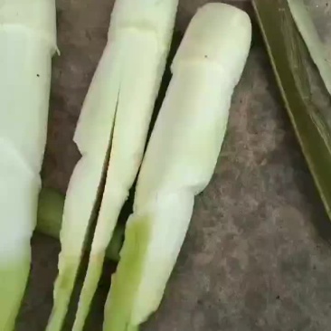 菱白