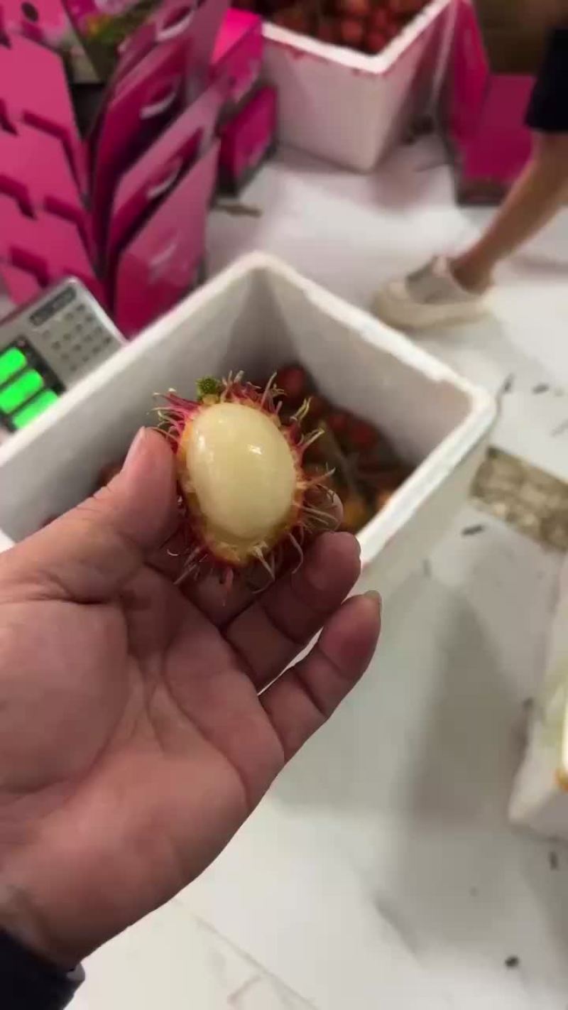 保亭红毛丹