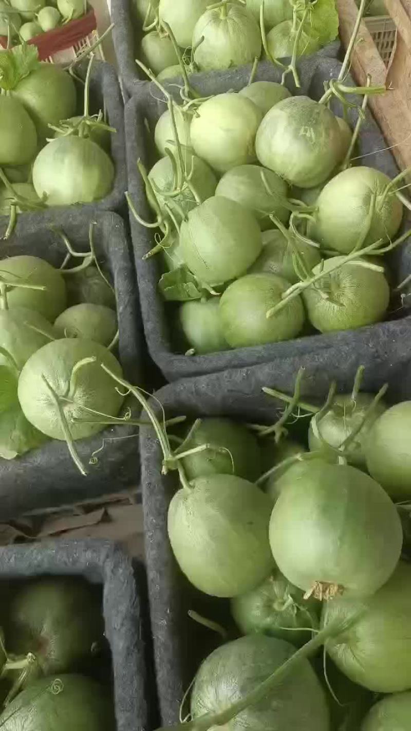 绿宝