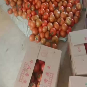 开始陆续供货