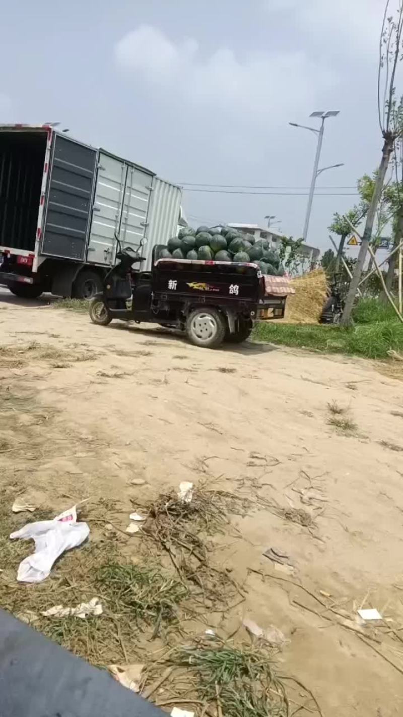 黑美人