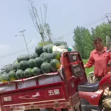 黑美人
