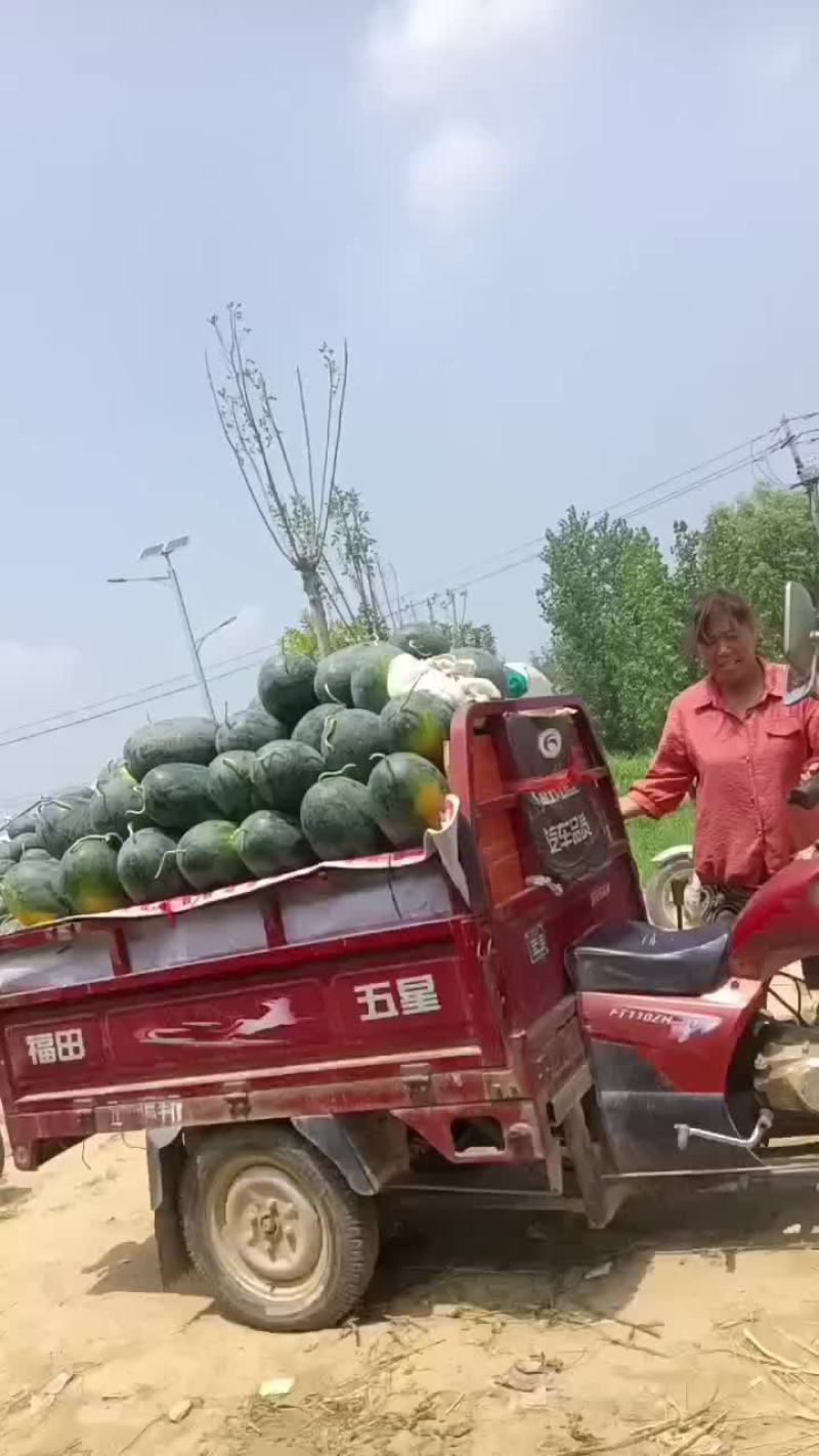 黑美人