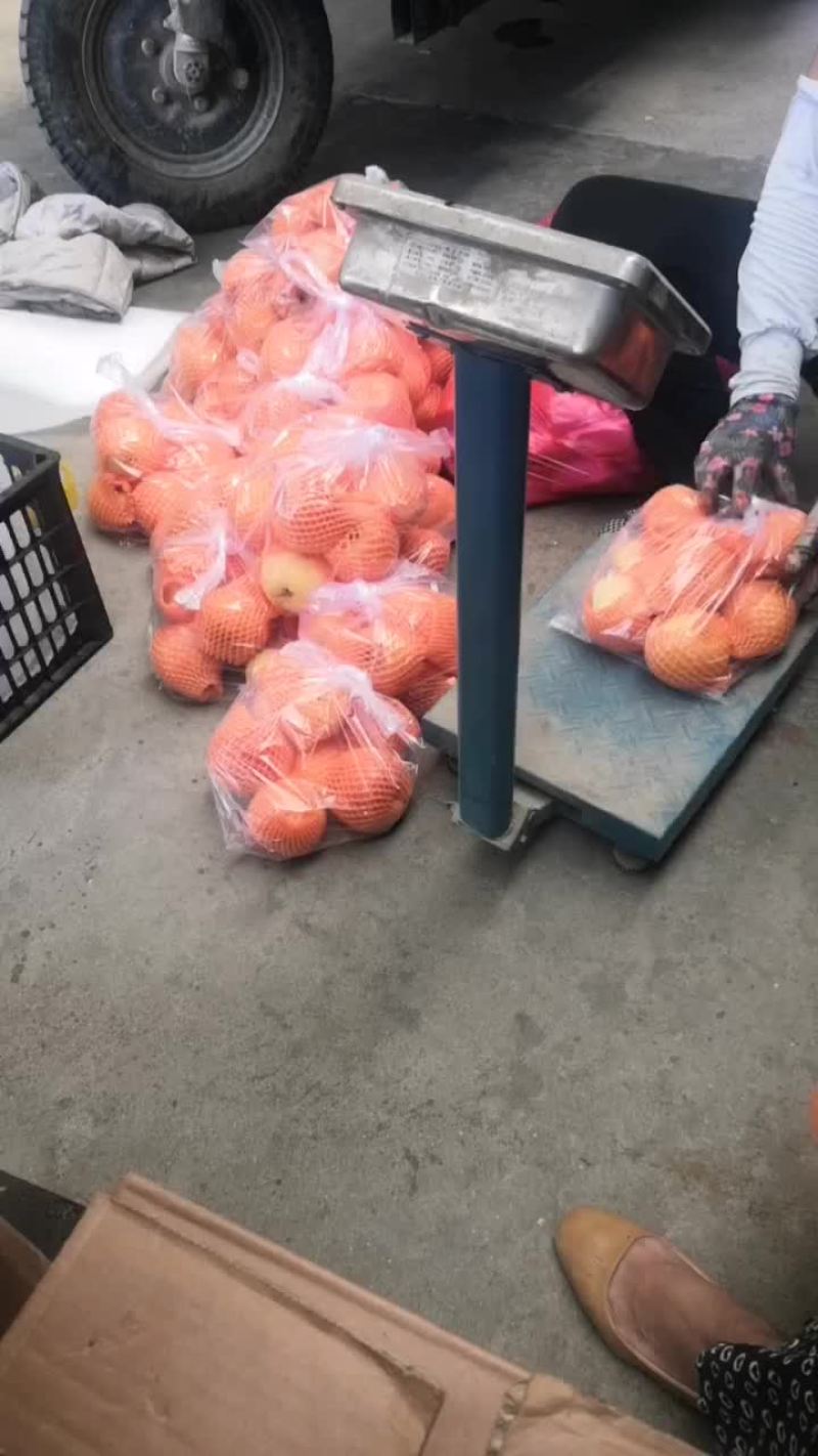 代发全国高次果8毛元装车中..