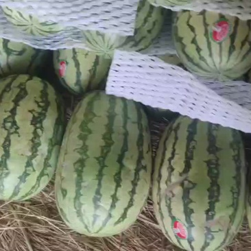 长期稳定靠谱