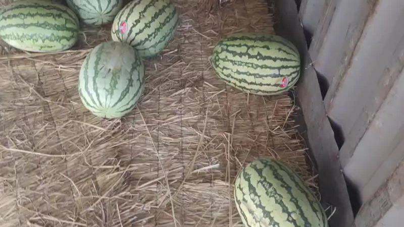 长期稳定靠谱