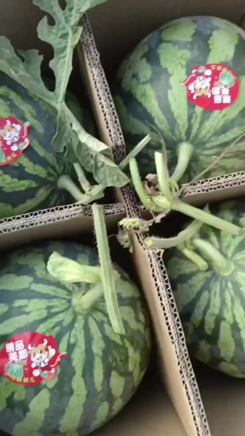 庆阳美都