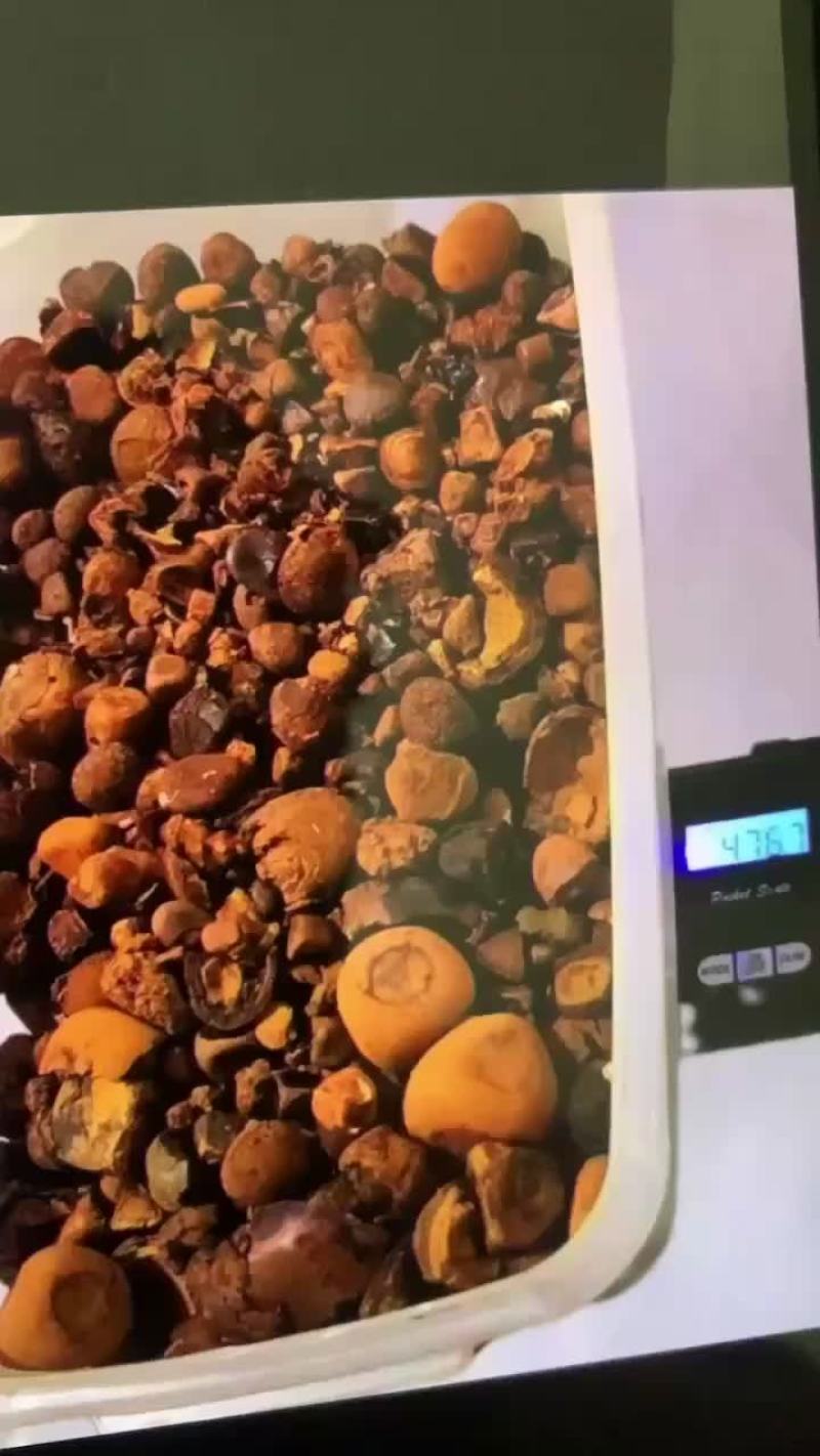 天然牛黄