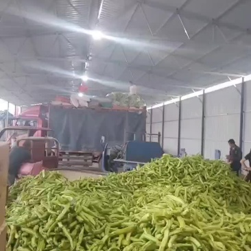产地直发需要联系