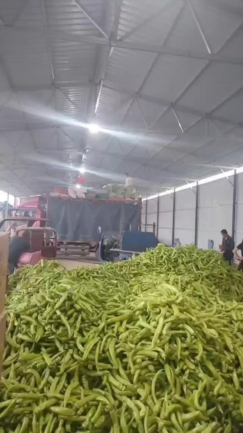 产地直发需要联系