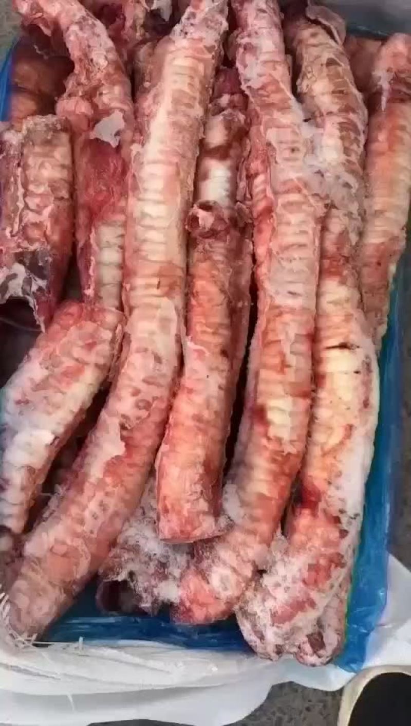 精修牛肺管。