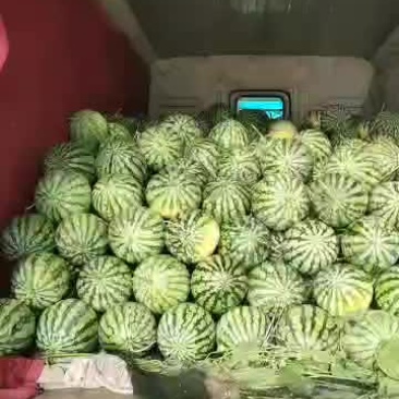 美都，新机遇已大量上市，需要的老板请来电