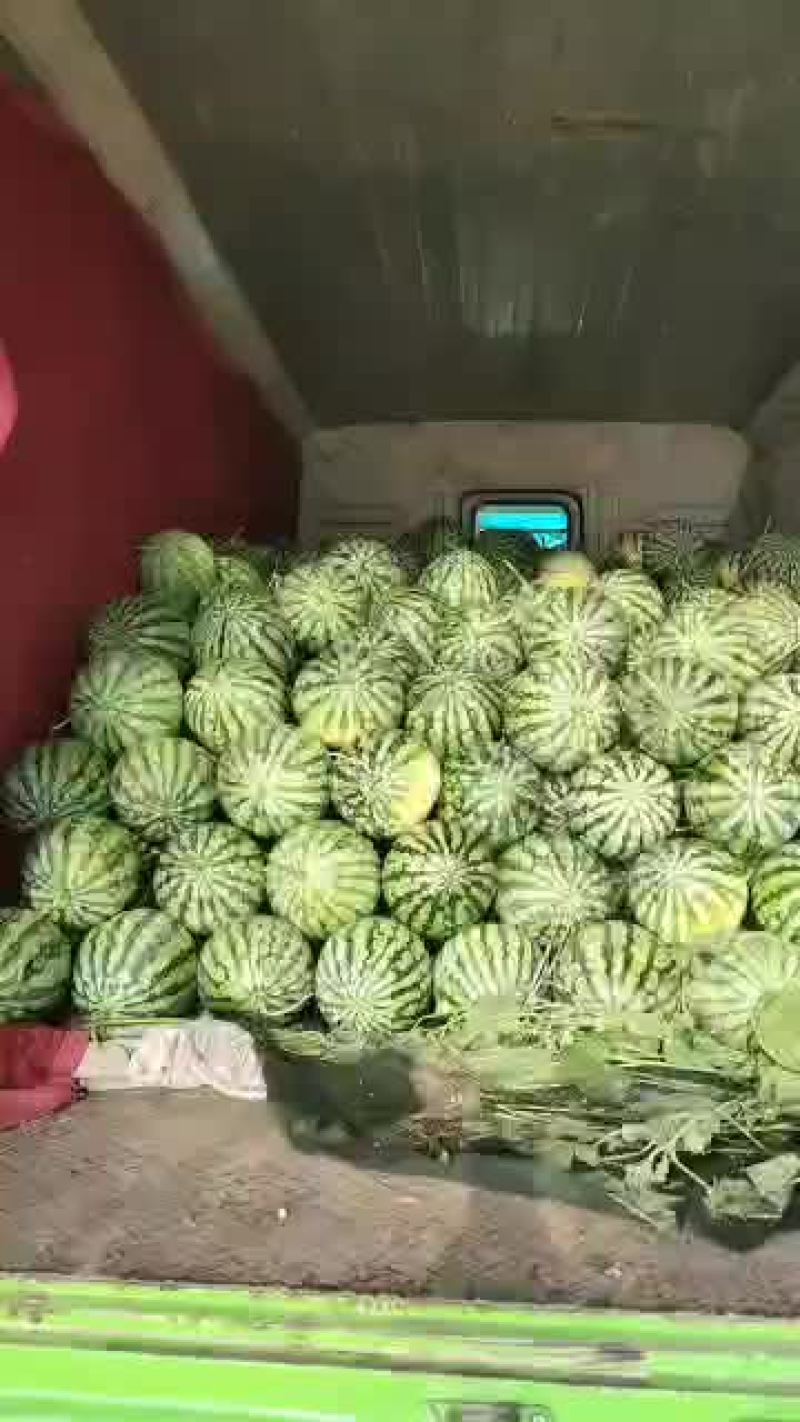 美都，新机遇已大量上市，需要的老板请来电