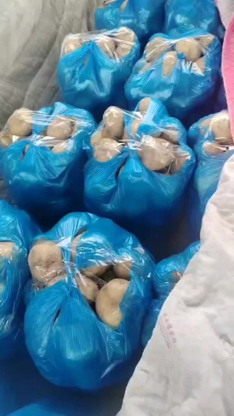 大西洋土豆